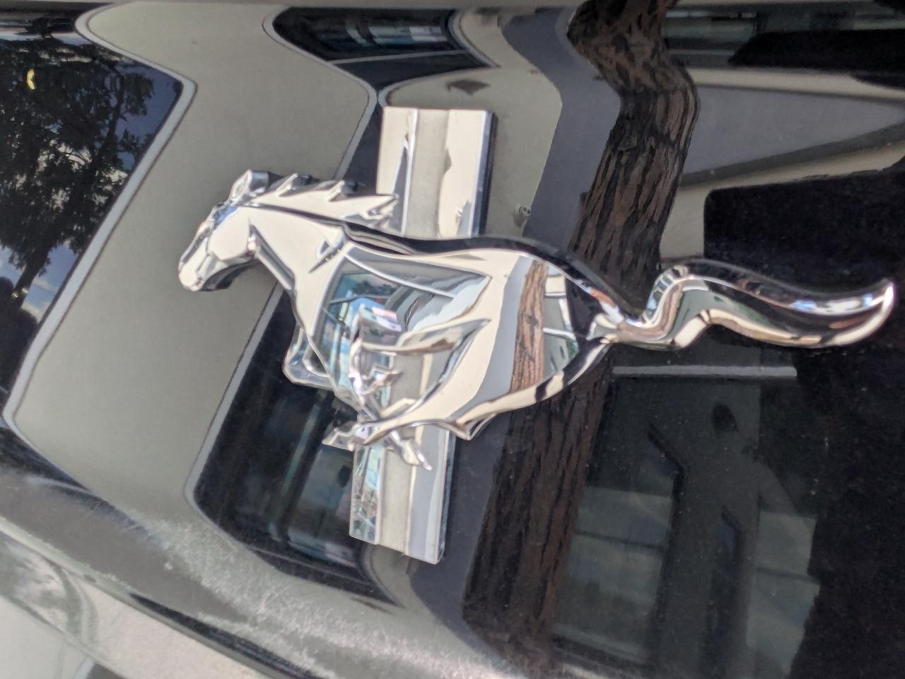 Ford Mustang V6 Coupe 2016