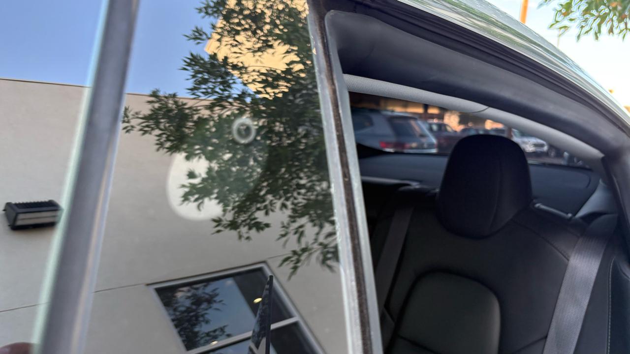 Tesla Model 3  2019