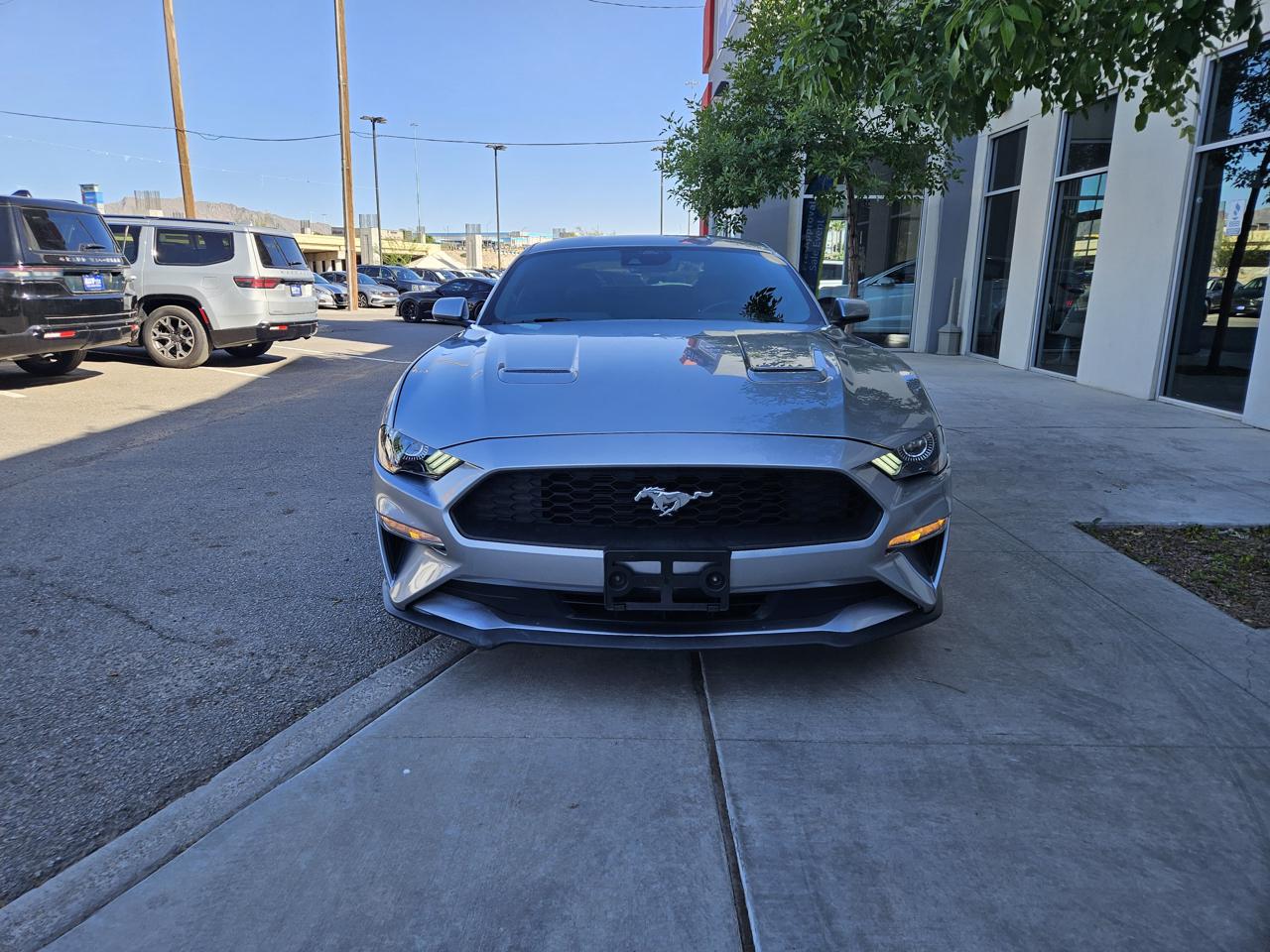Ford Mustang Eco Premium 2D Coupe 2023