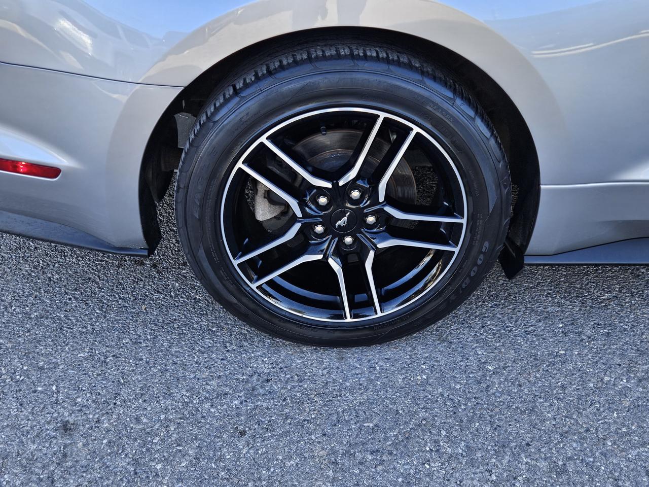 Ford Mustang Eco Premium 2D Coupe 2023
