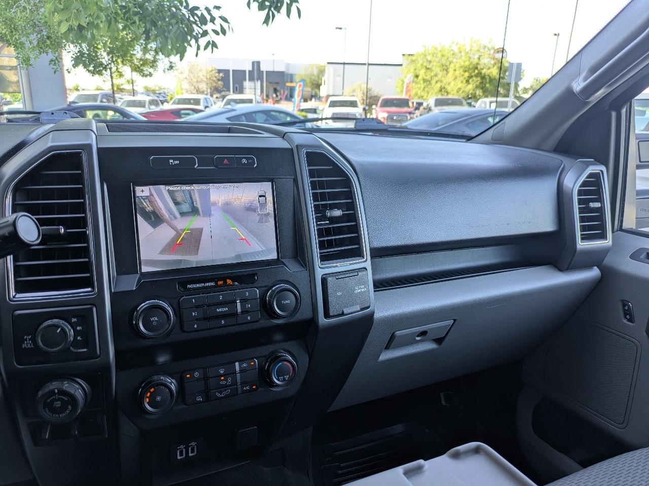 Ford F-150 4WD Reg Cab 126" XLT 2019