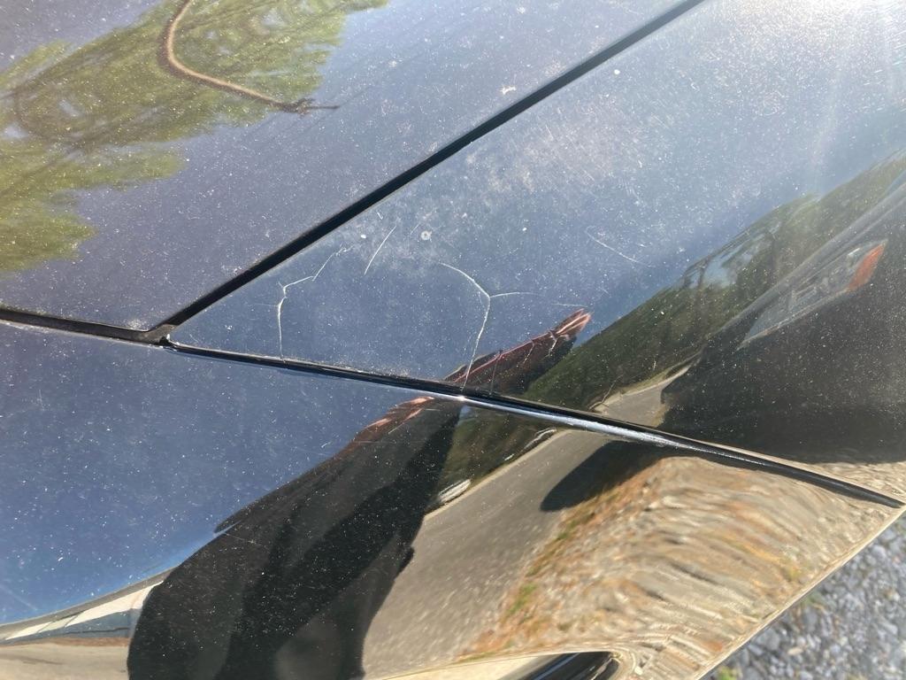 Dodge Charger SXT RWD 2019