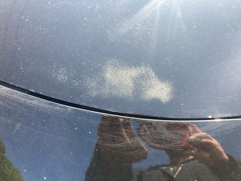 Dodge Charger SXT RWD 2019