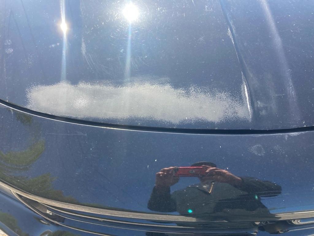 Dodge Charger SXT RWD 2019