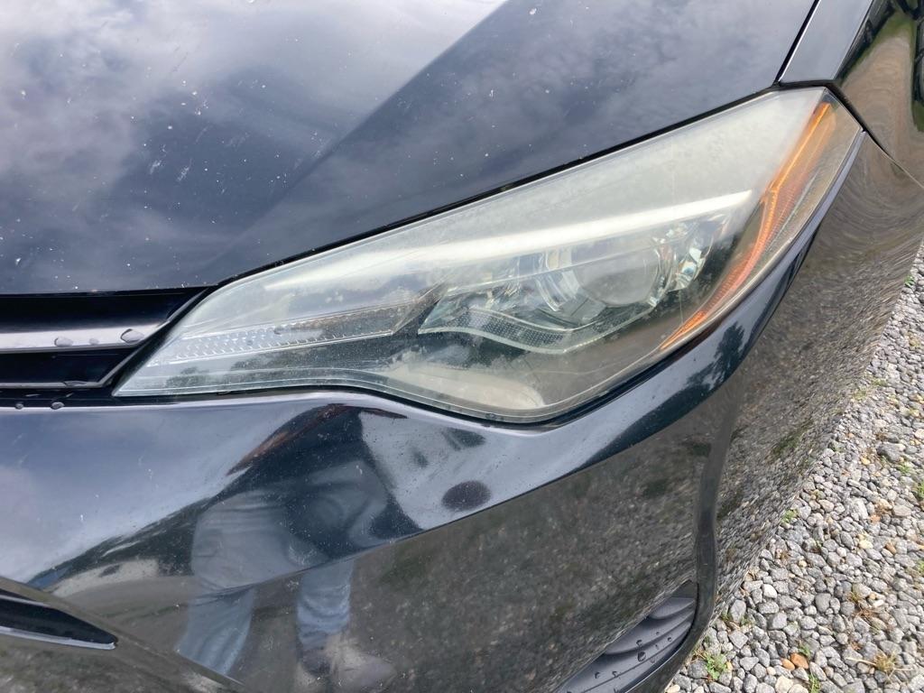 Toyota Corolla XLE CVT (Natl) 2019