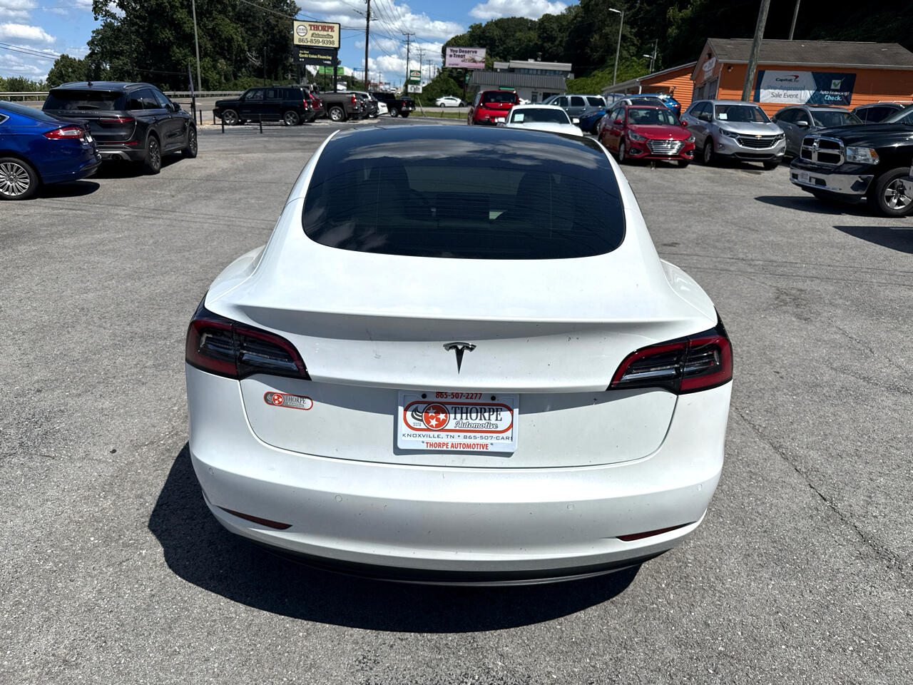 2022 Tesla Model 3 Standard Range photo 6