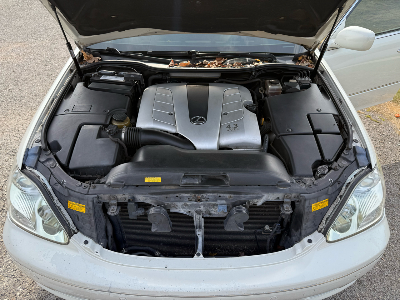 Lexus LS 430 Sedan 2004