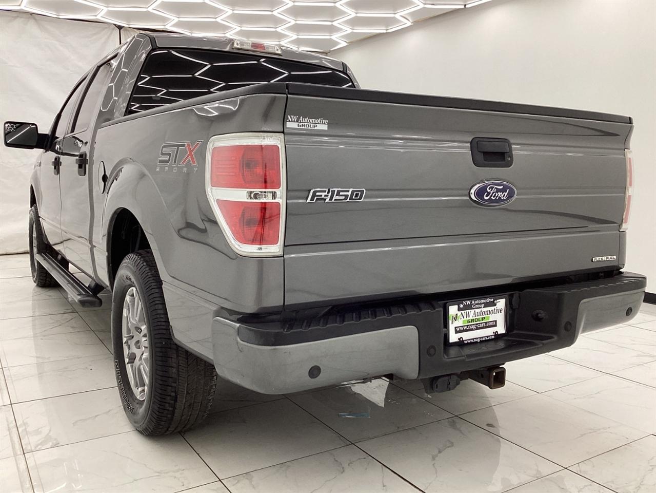 Ford 150 2WD SuperCrew 145" Platinum 2014