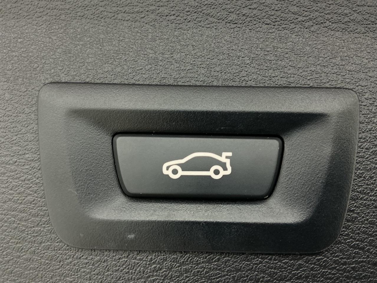 BMW X1 sDrive28i Sports Activity Vehicle 2020