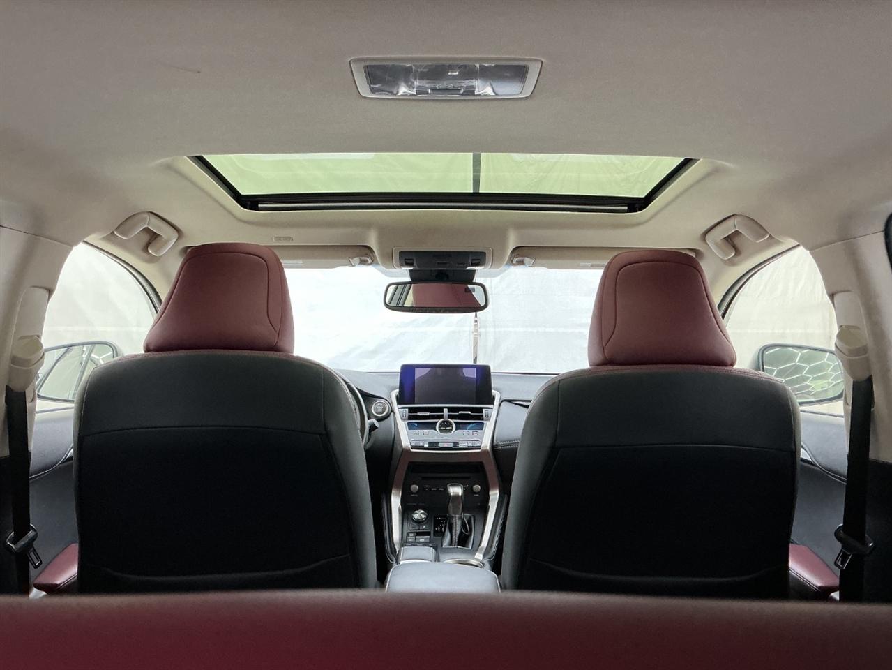 Lexus NX NX 300 AWD 2019