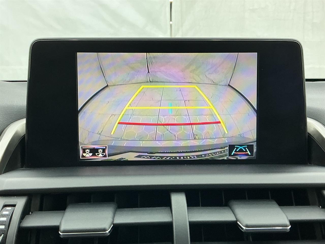 Lexus NX NX 300 AWD 2019