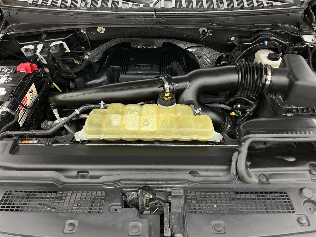Ford Expedition XLT 4x4 2020