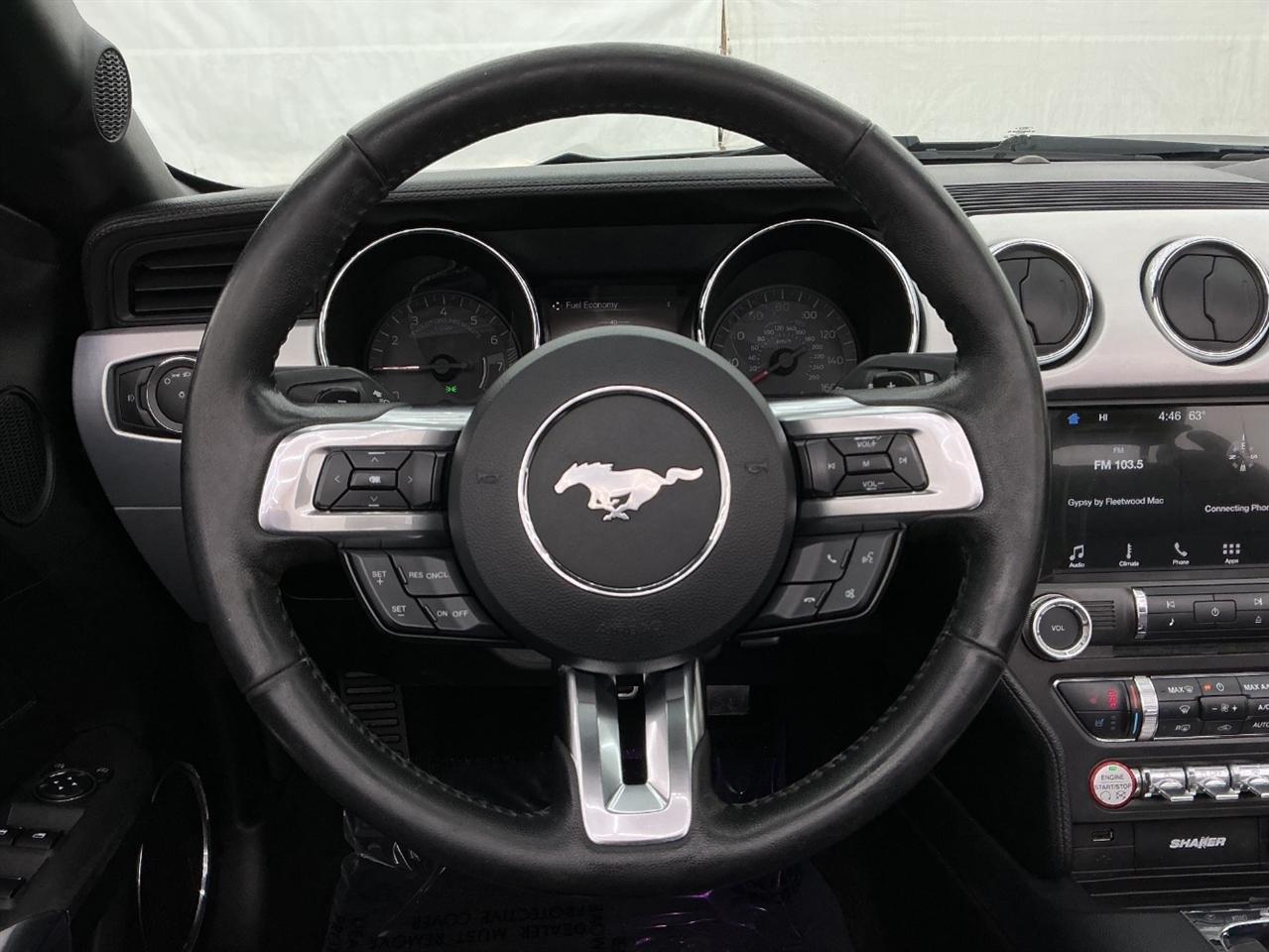 Ford Mustang EcoBoost Premium Convertible 2017