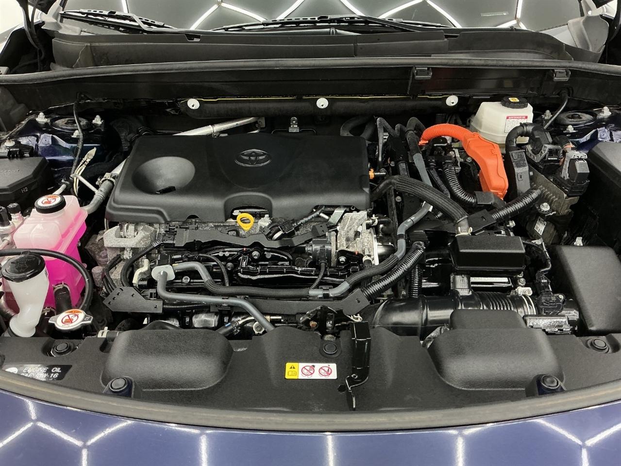 Toyota Venza Limited AWD (Natl) 2022