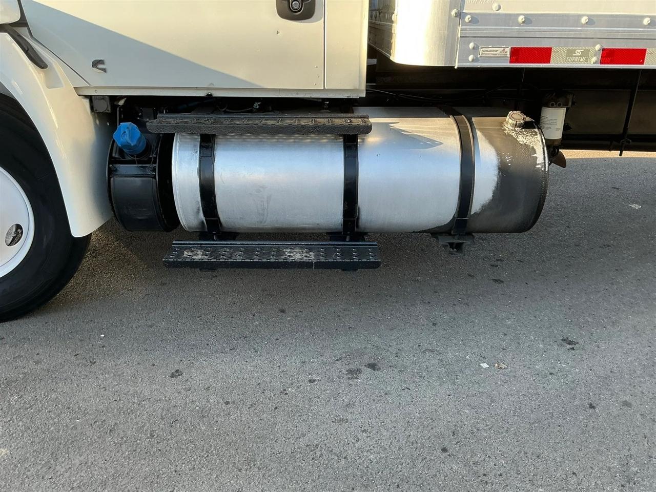 International DuraStar 4300  2019