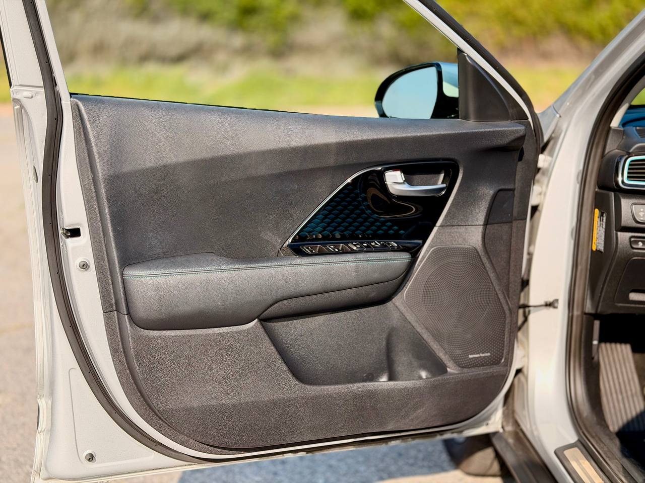 Kia Niro EV EX Premium 2019