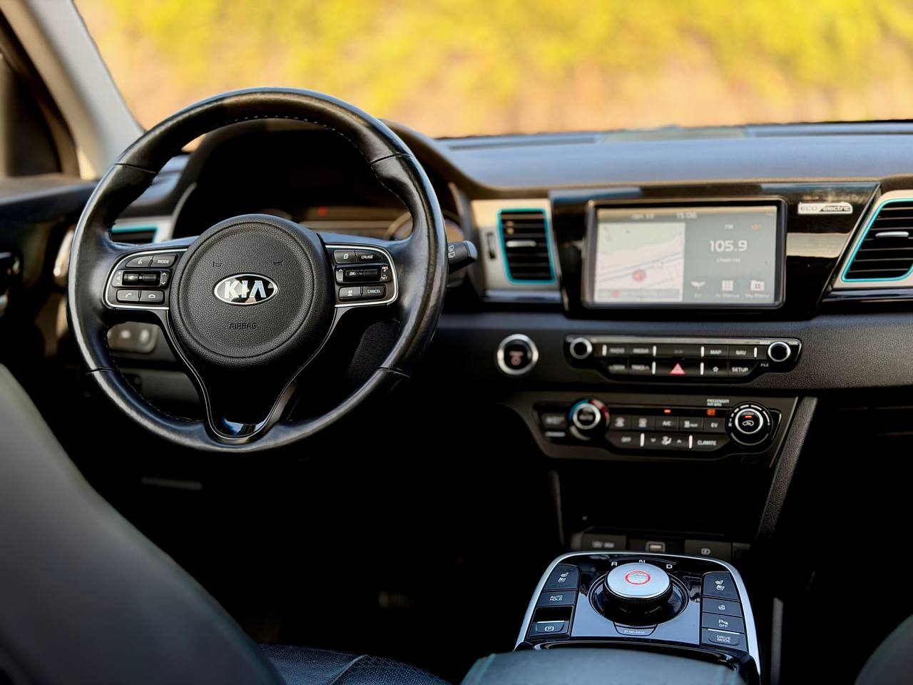 Kia Niro EV EX Premium 2019