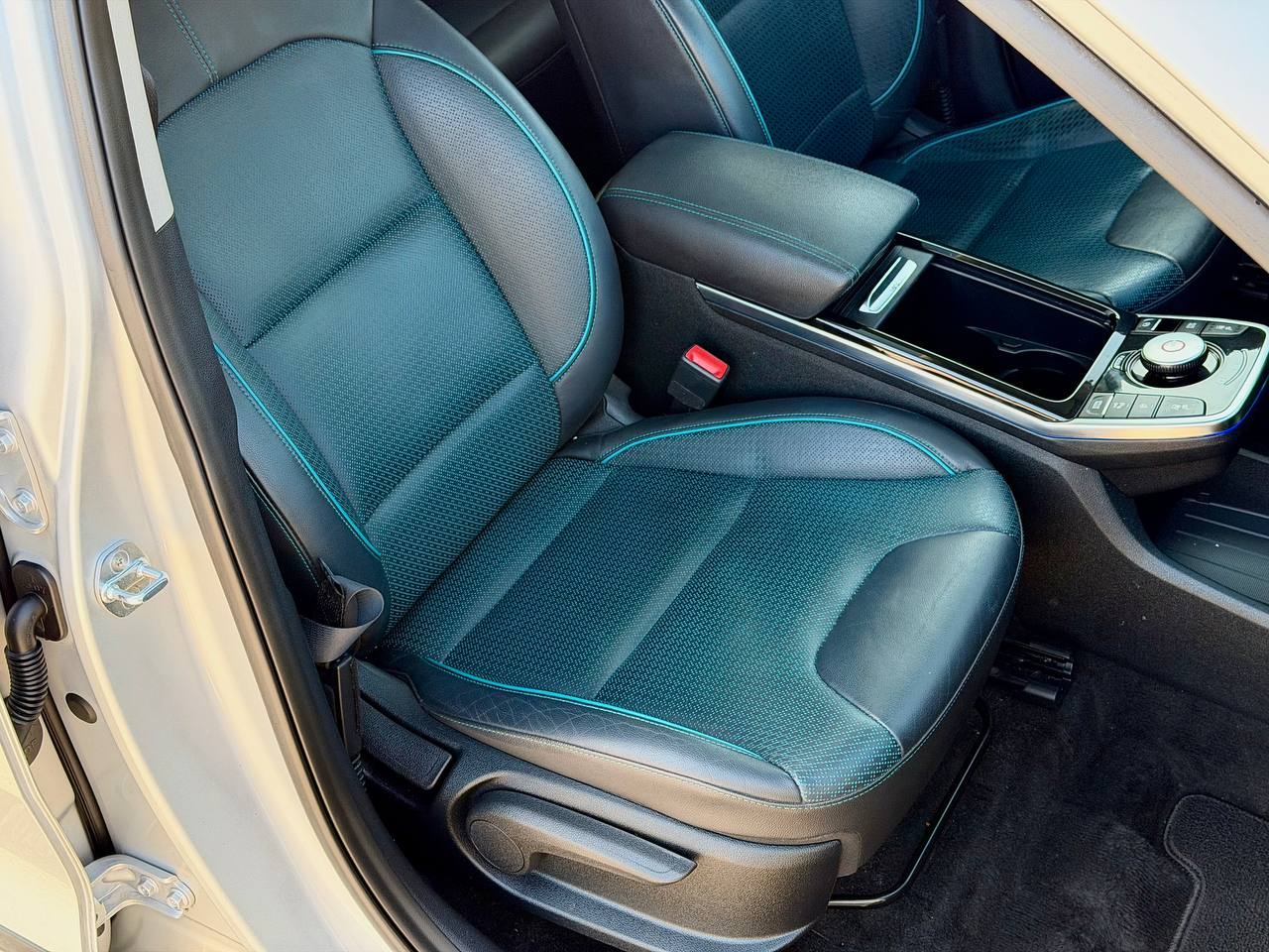 Kia Niro EV EX Premium 2019