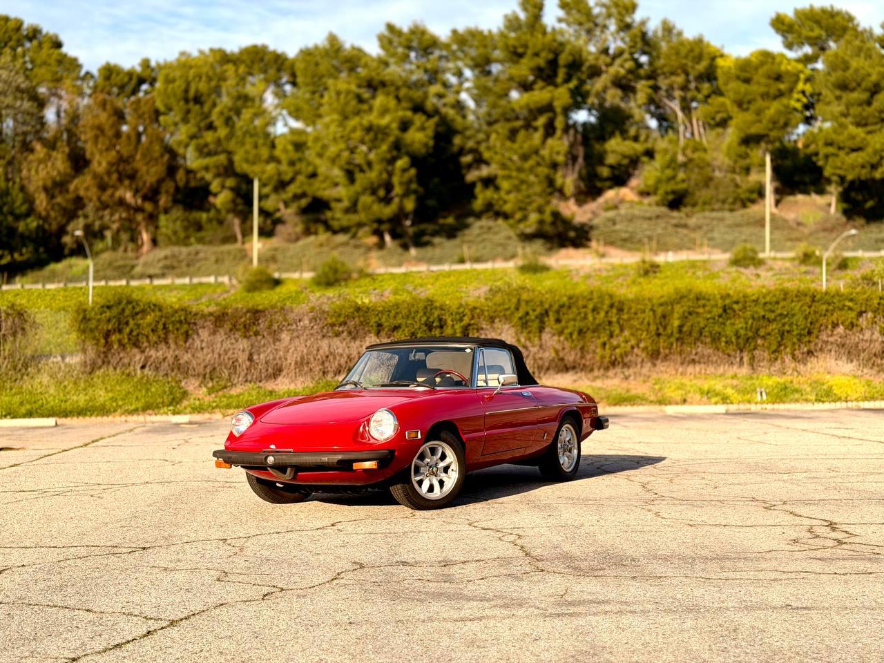 1979 Alfa Romeo Spider 