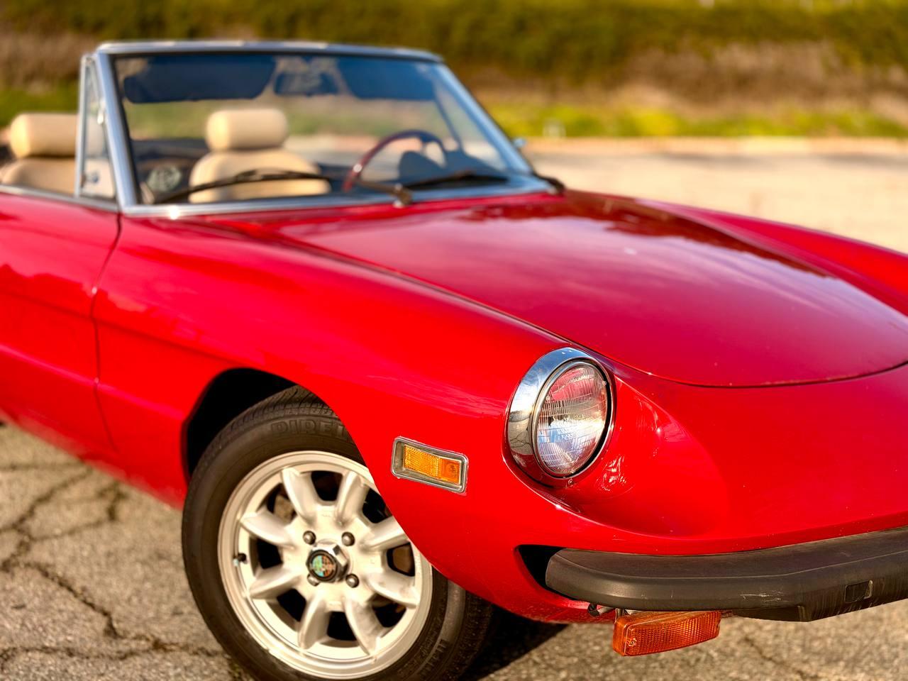 Alfa Romeo Spider  1979