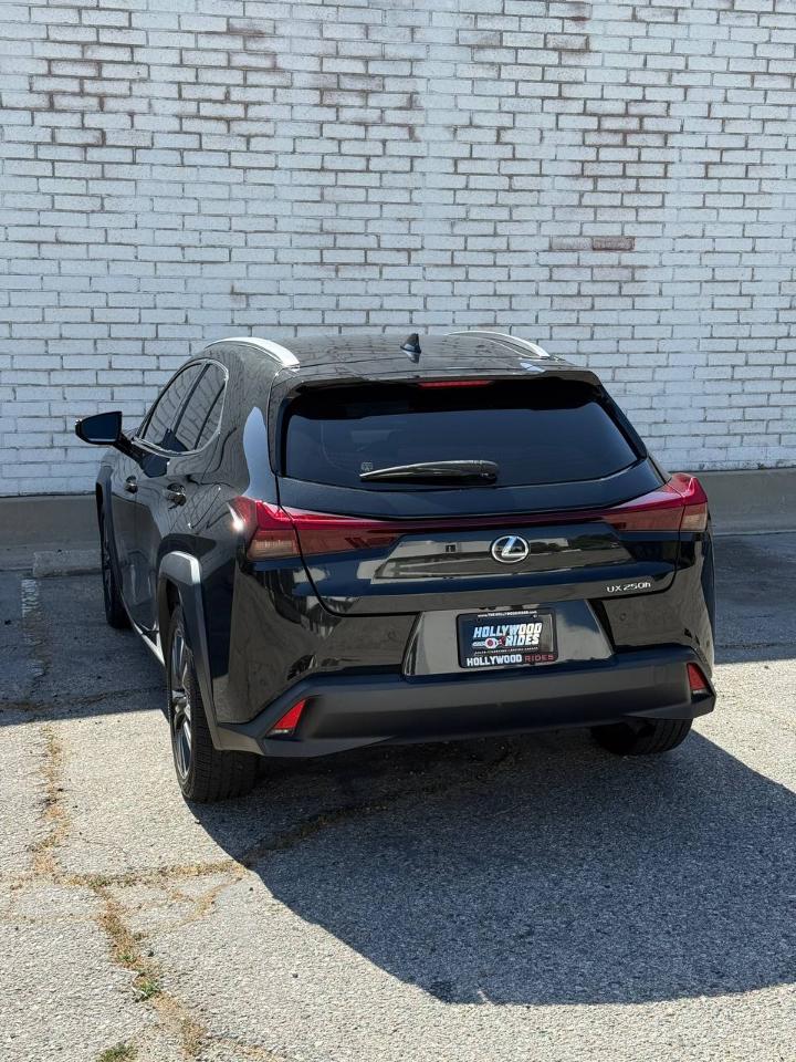 Lexus UX 250h  2023