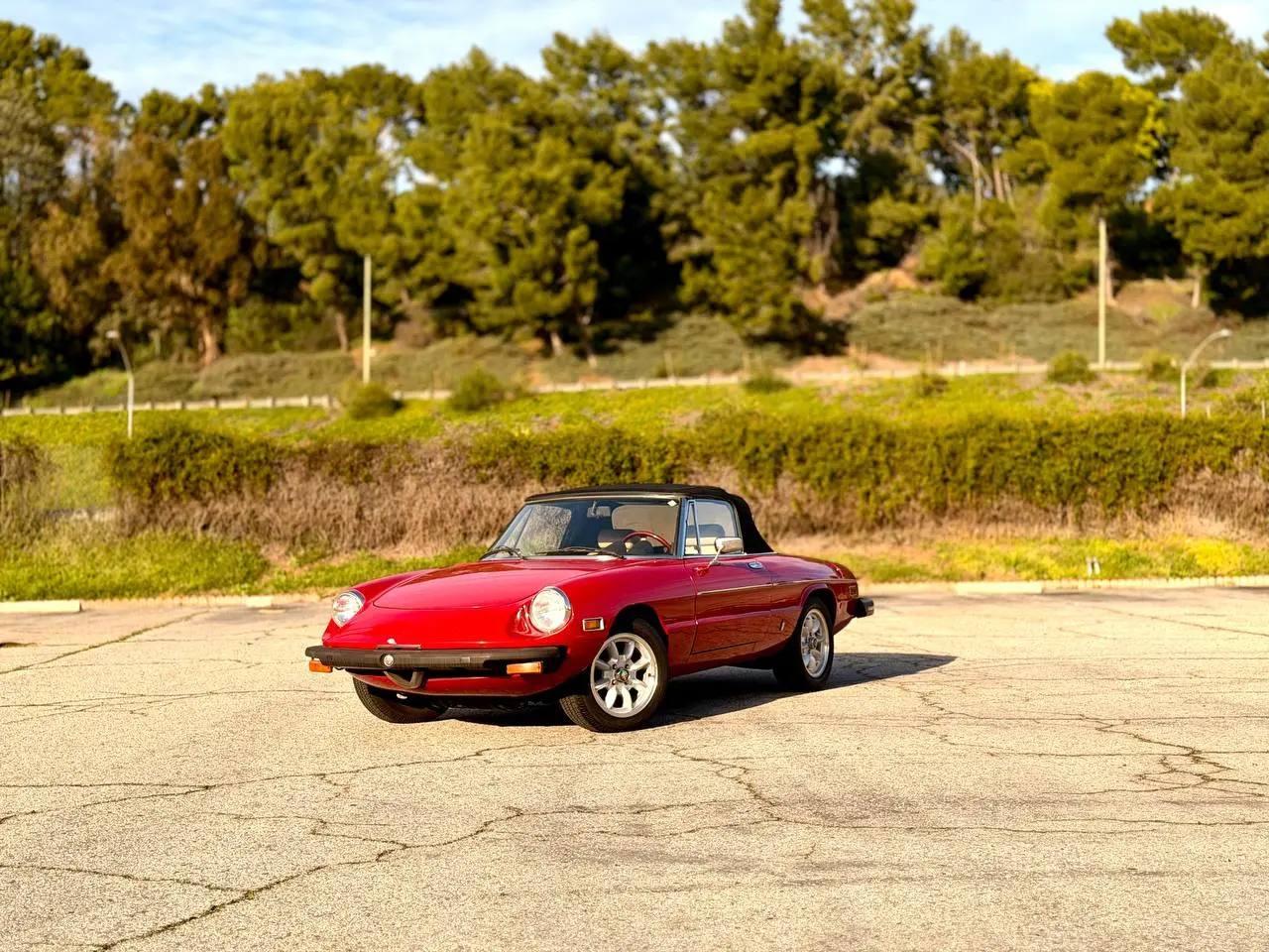 1979 Alfa Romeo Spider Veloce 