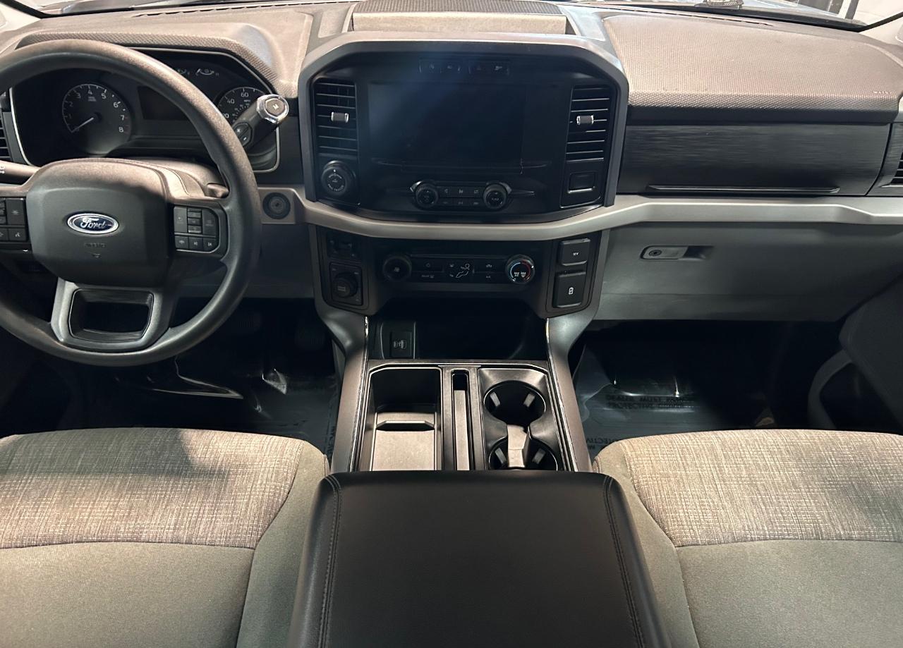 Ford F-150 XLT SuperCrew 4WD 2023