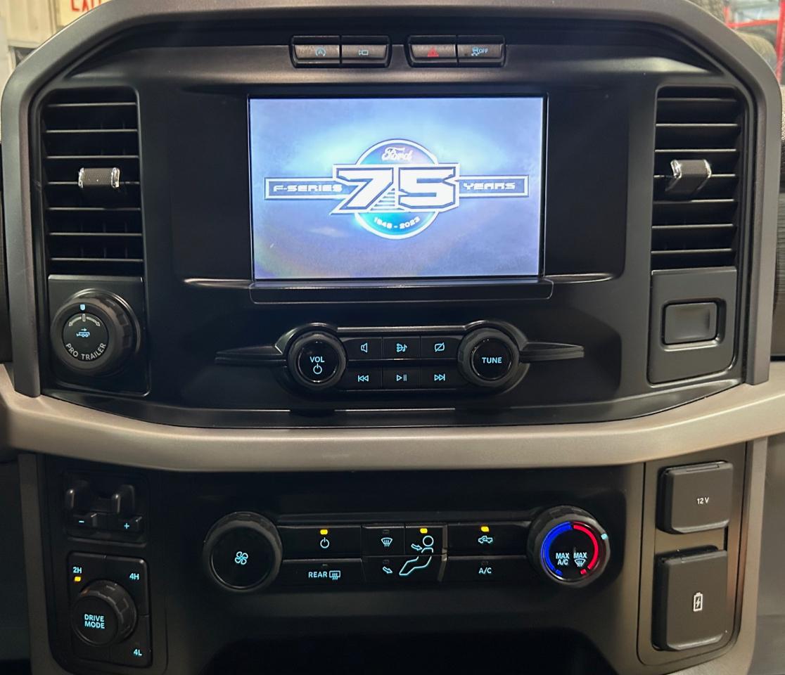 Ford F-150 XLT SuperCrew 4WD 2023