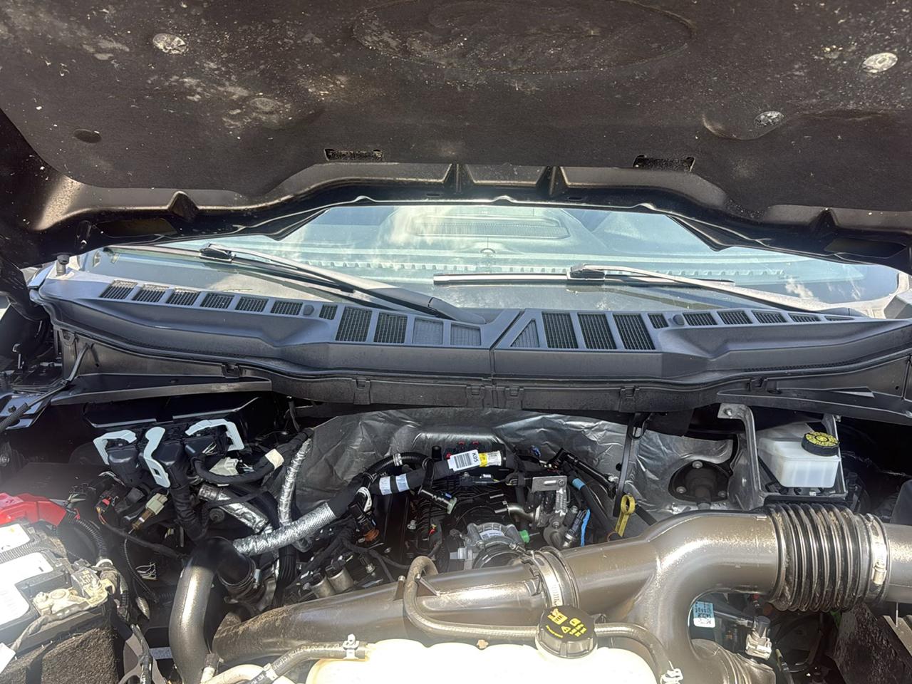 Ford F-150  2023