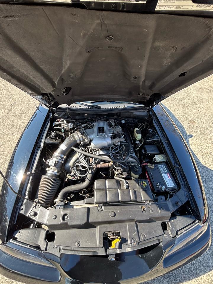 Ford Mustang 2dr Cpe Cobra 1997