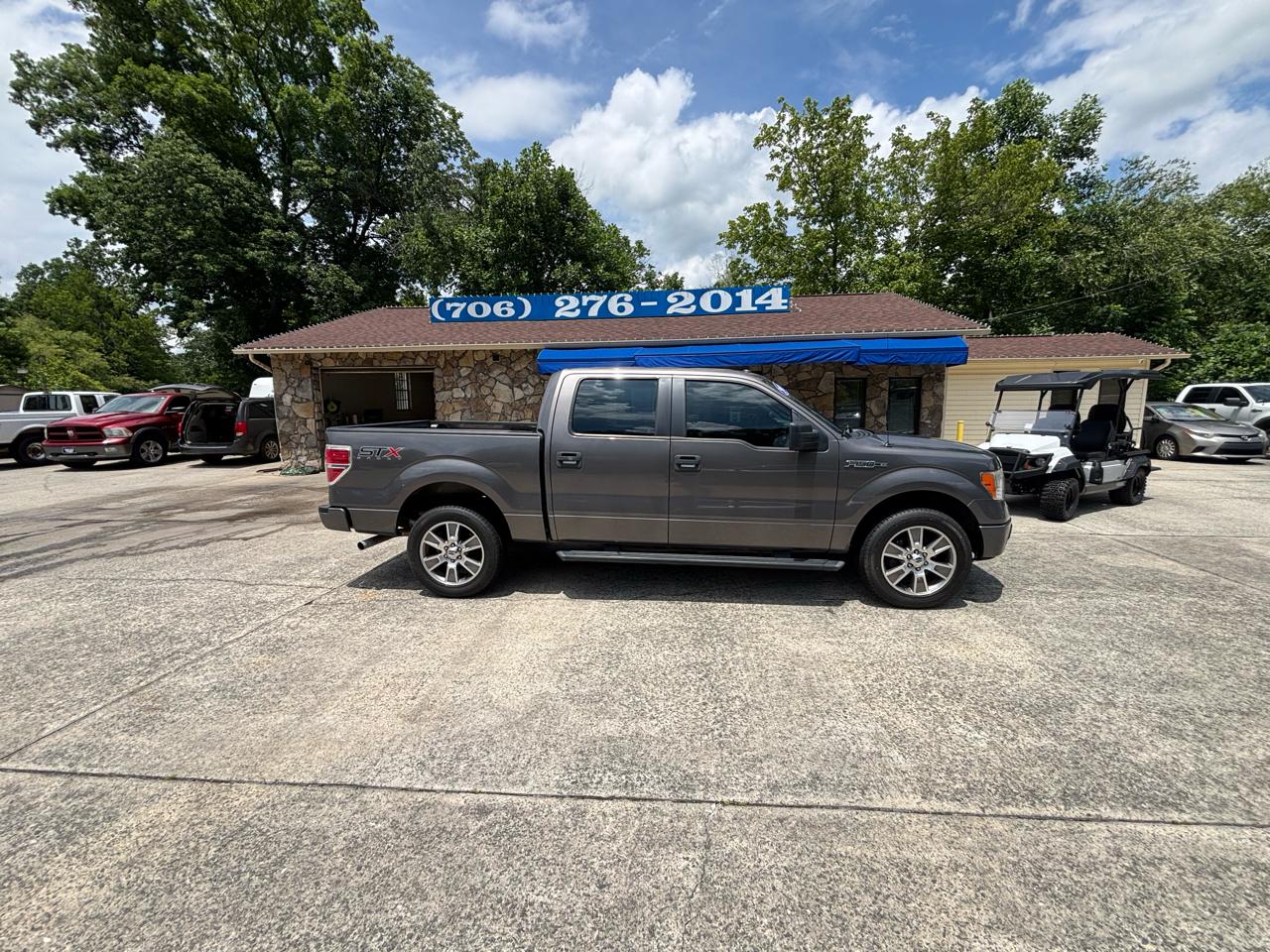 Ford F-150 2WD SuperCrew 145" Platinum 2014