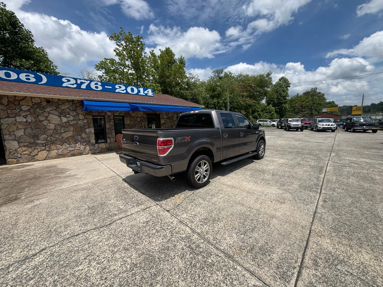 Ford F-150 2WD SuperCrew 145" Platinum 2014