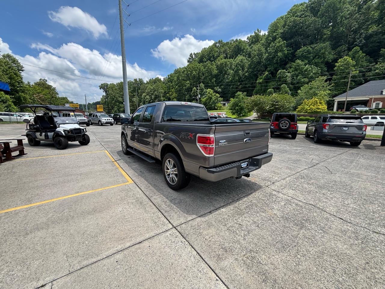 Ford F-150 2WD SuperCrew 145" Platinum 2014