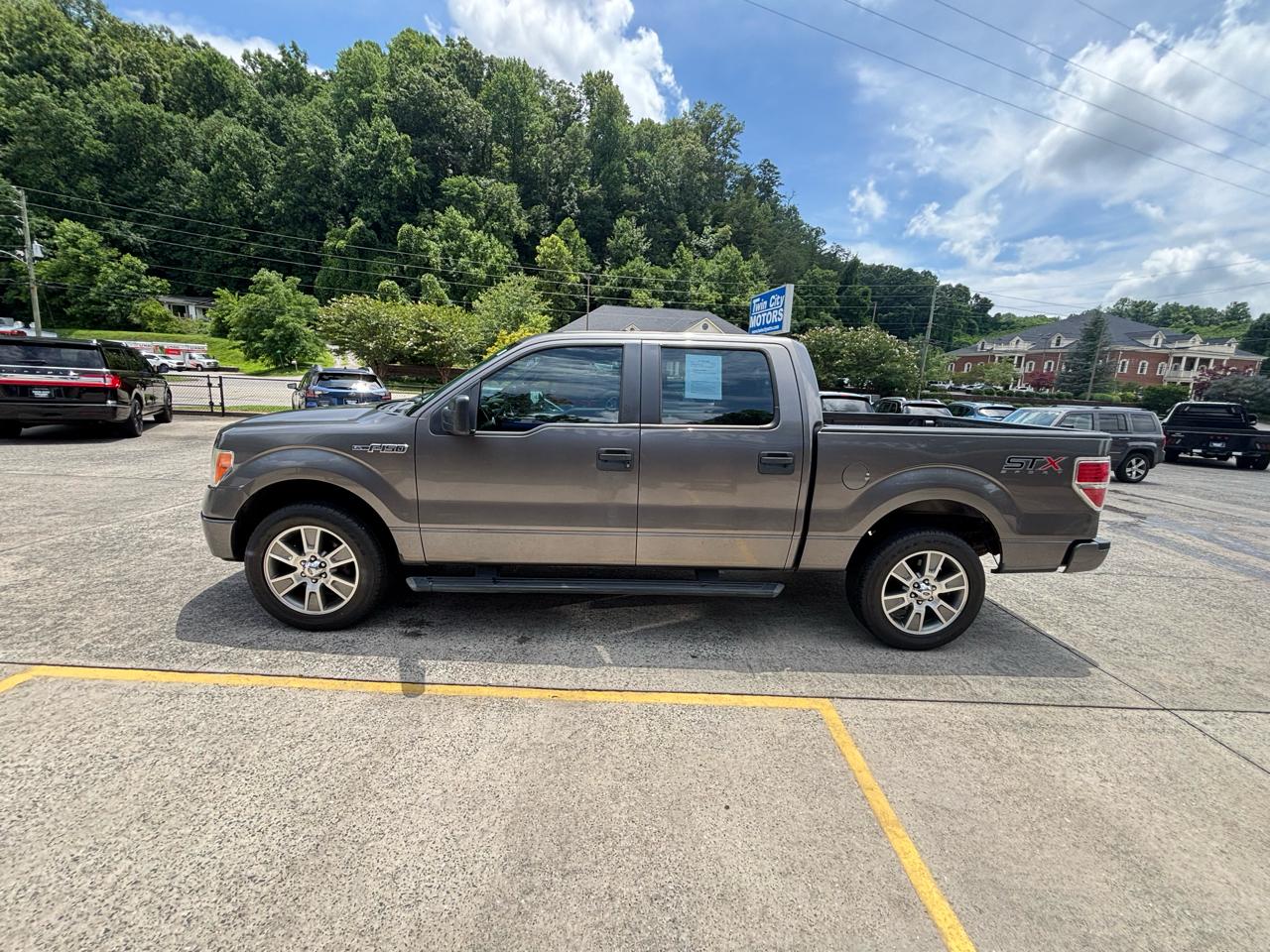 Ford F-150 2WD SuperCrew 145" Platinum 2014