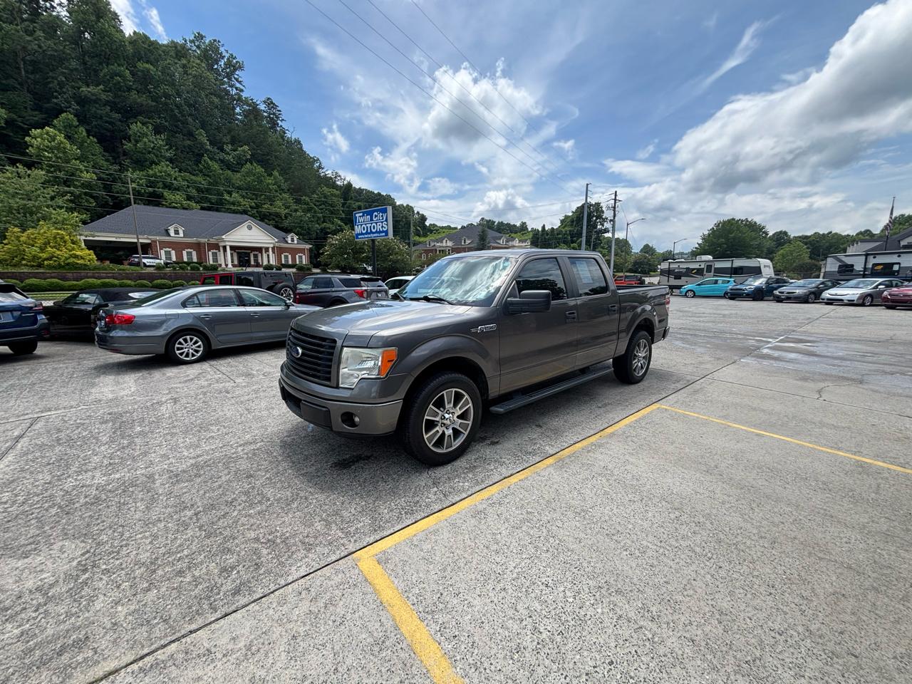 Ford F-150 2WD SuperCrew 145" Platinum 2014