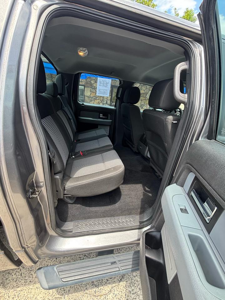 Ford F-150 2WD SuperCrew 145" Platinum 2014