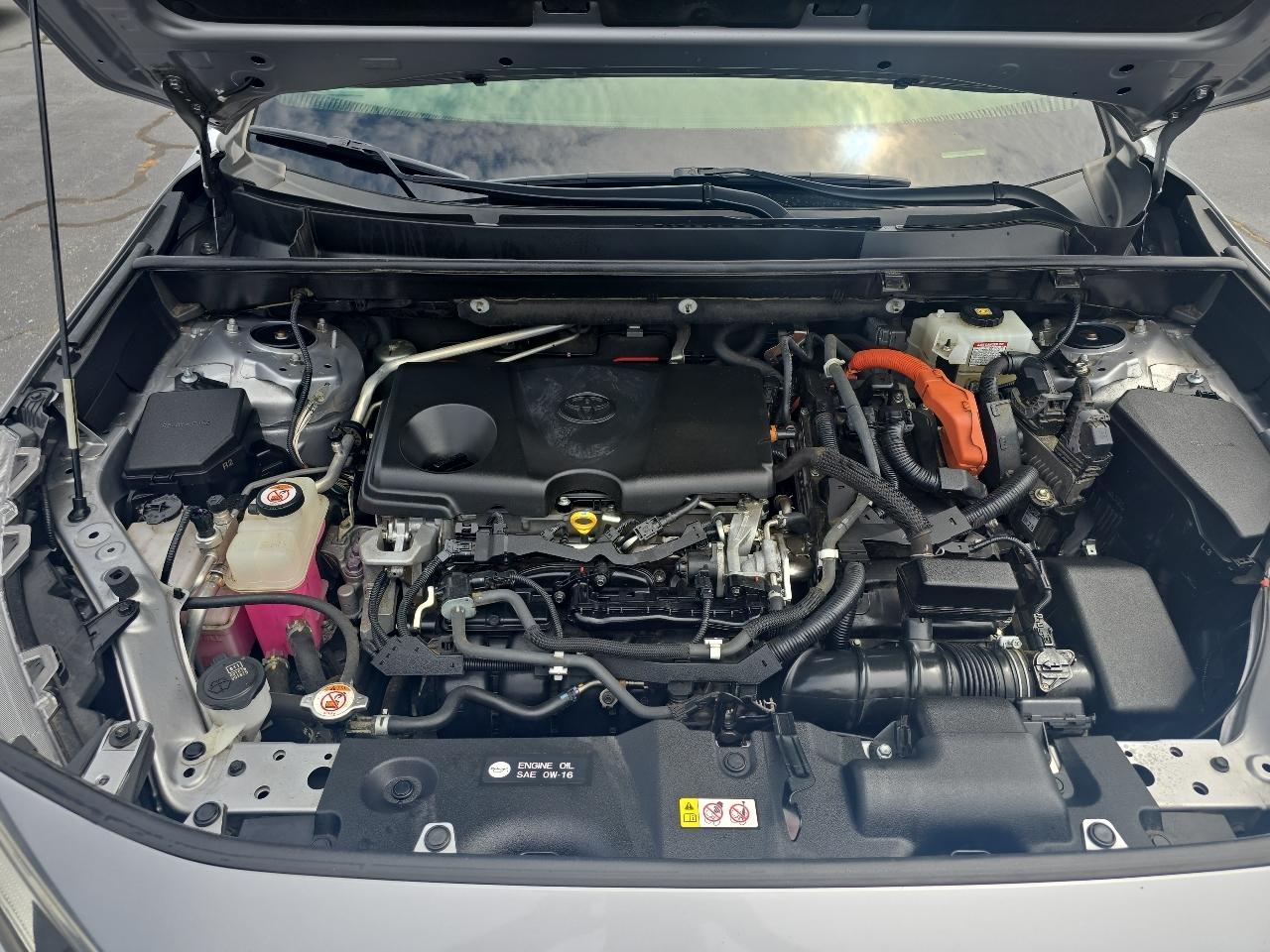 Toyota RAV4 Hybrid XSE AWD (Natl) 2019