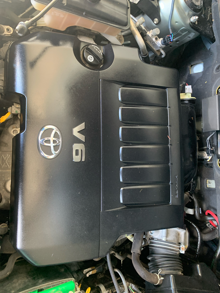 Toyota RAV4 FWD 4dr V6 5-Spd AT (Natl) 2008 Toyota RAV4 FWD 4dr V6 5-Spd AT (Natl) 2008