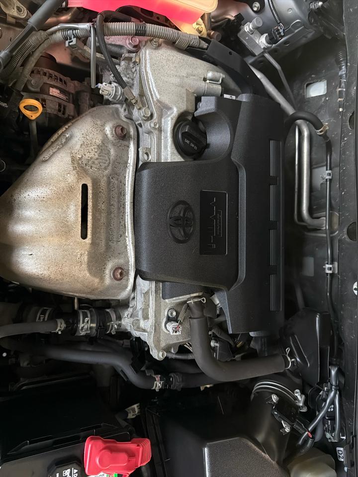 Toyota RAV4 SE AWD (Natl) 2018