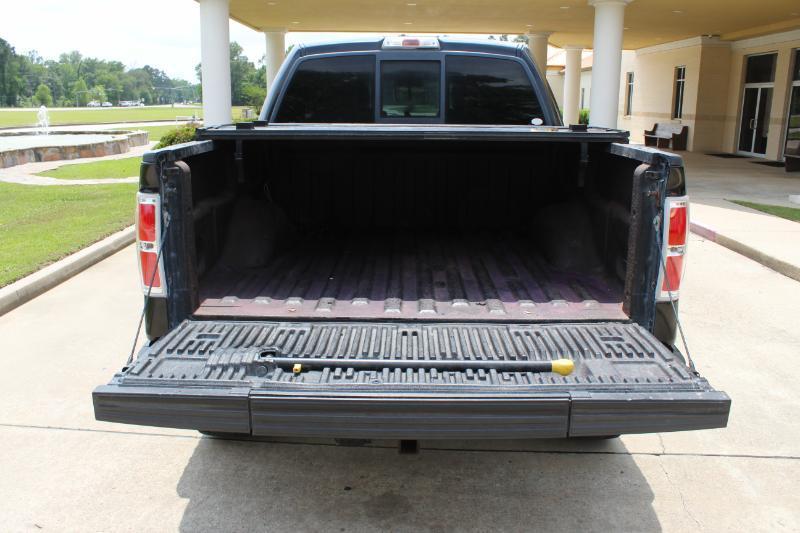 Ford F-150 Platinum SuperCrew 4WD 2010