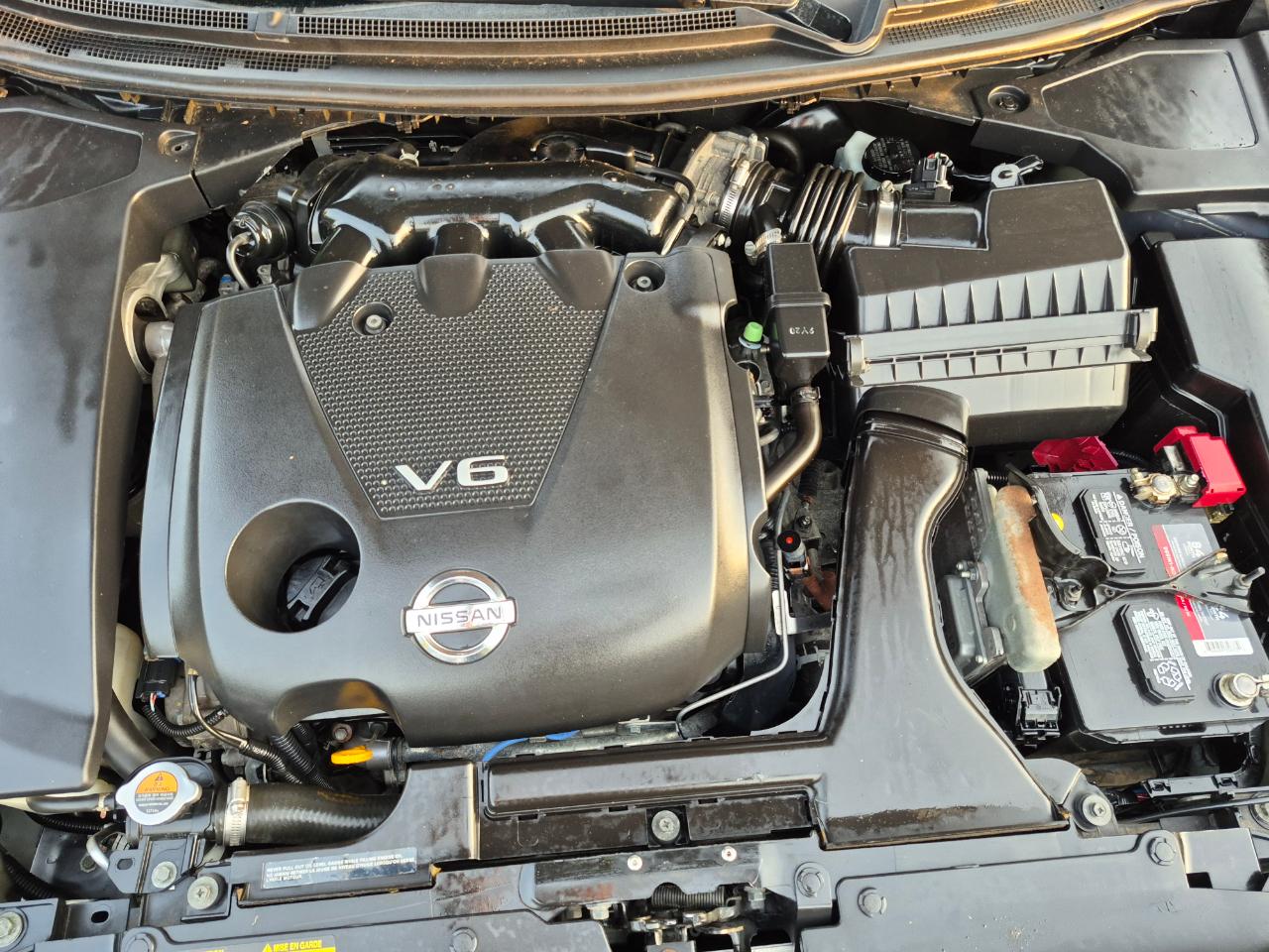 Nissan Maxima SV 2010