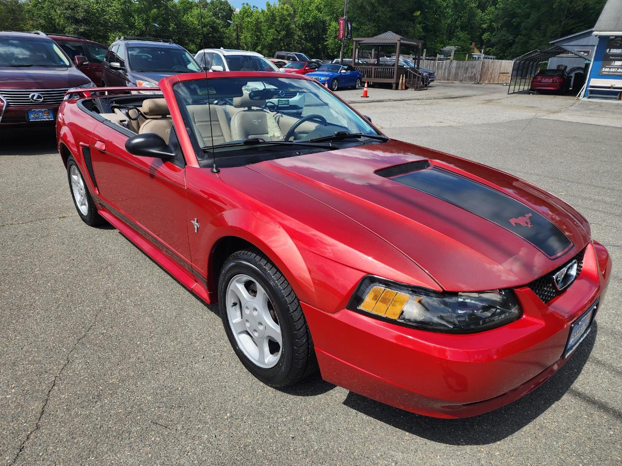 Ford Mustang Deluxe Convertible 2001