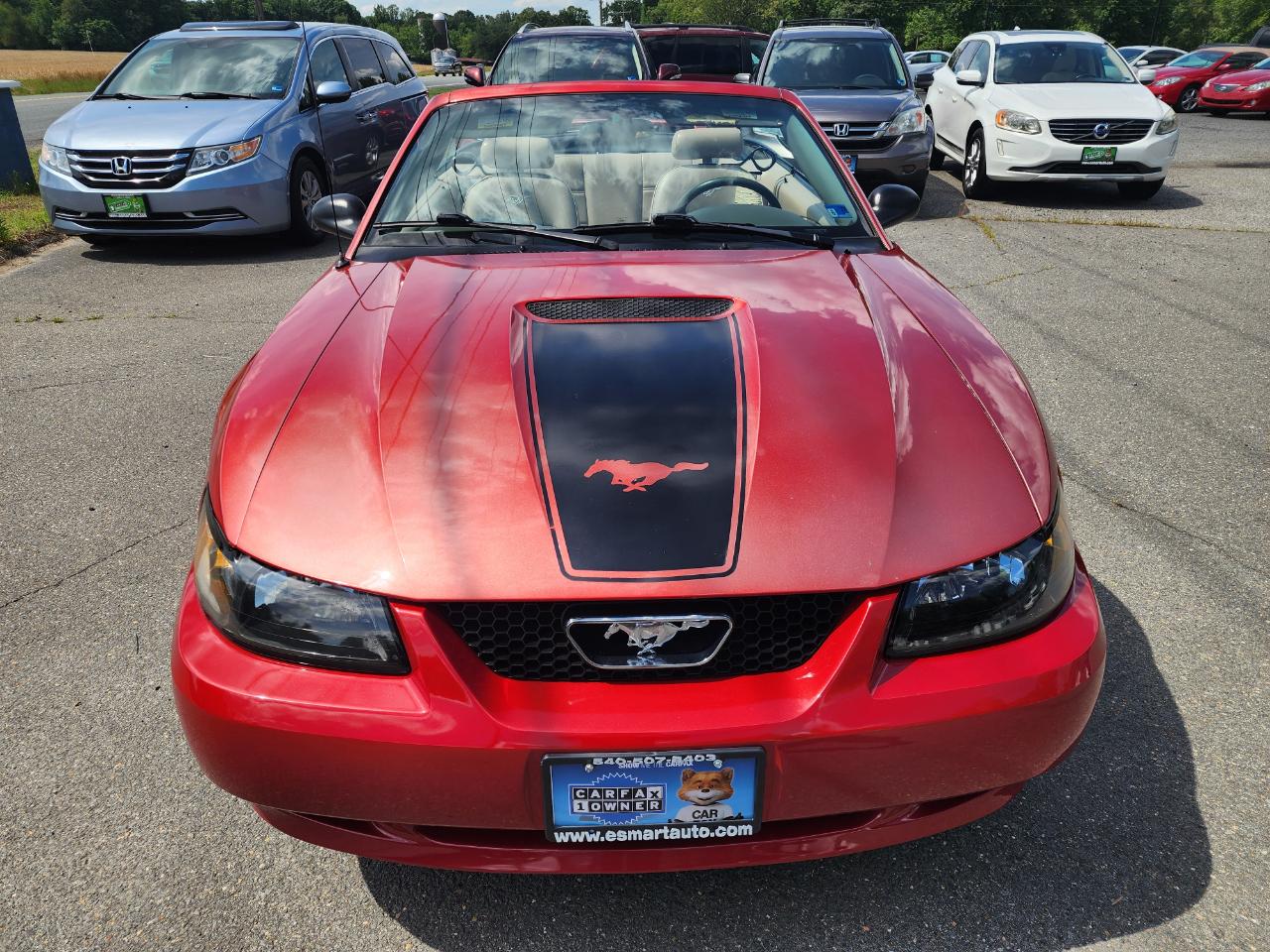 Ford Mustang Deluxe Convertible 2001