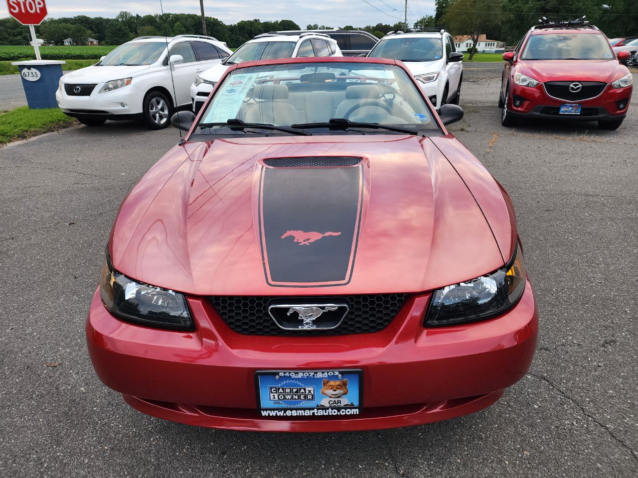 Ford Mustang Deluxe Convertible 2001