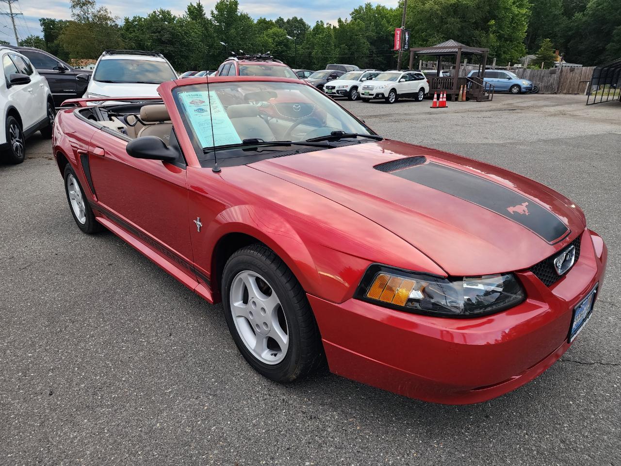 Ford Mustang Deluxe Convertible 2001