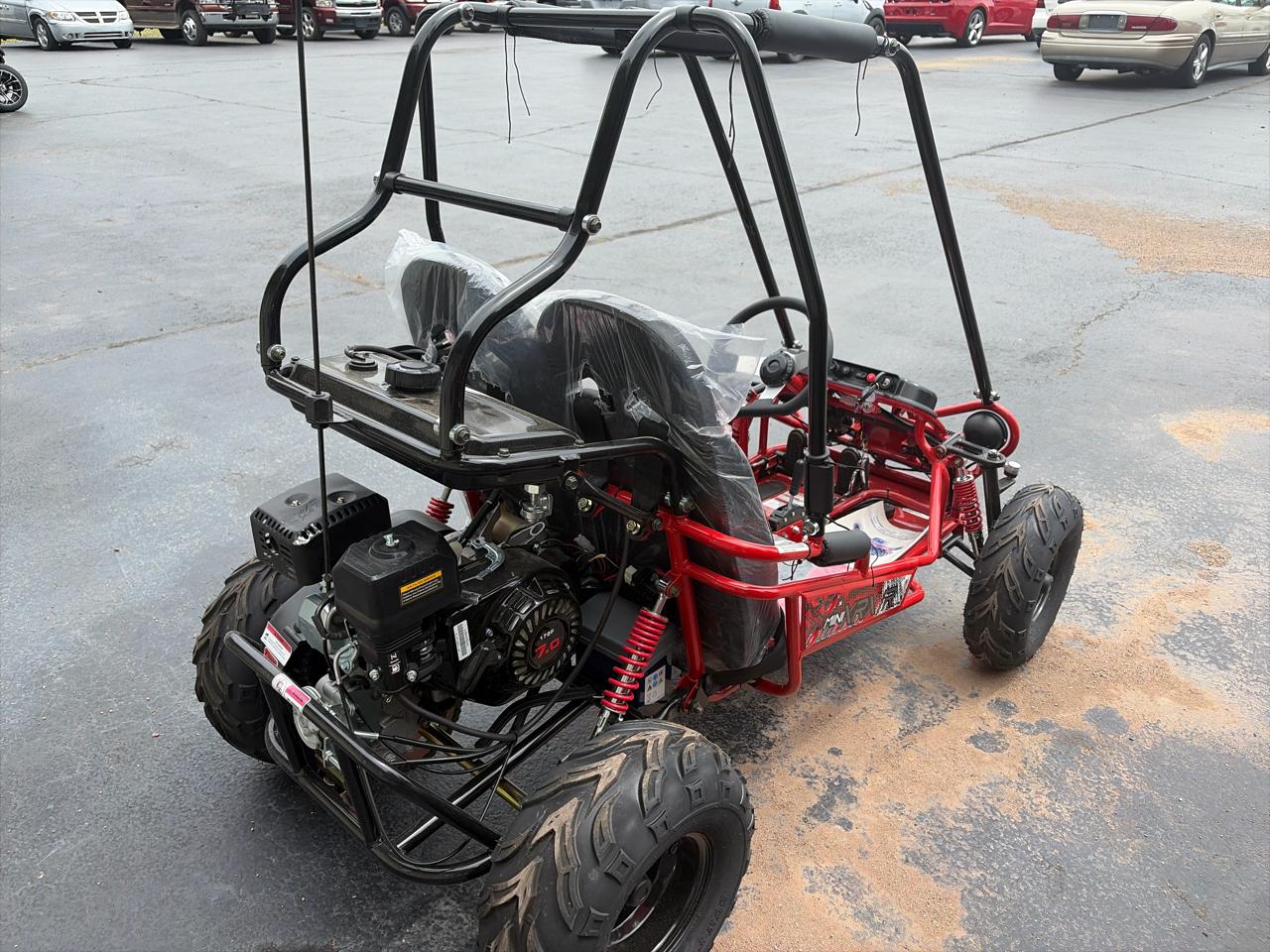 Trailmaster Mini XRX/R  2025