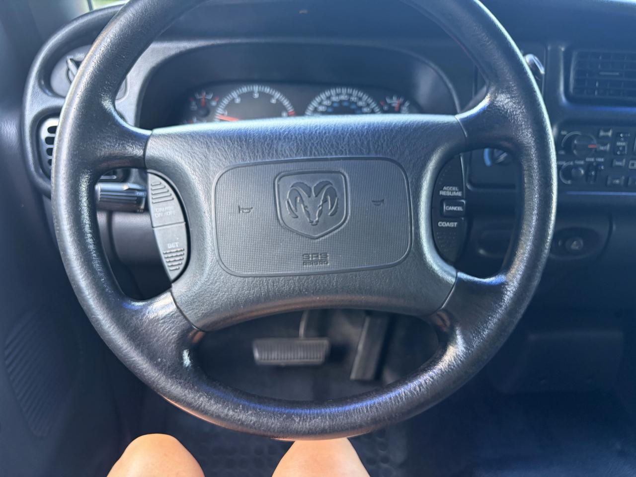 Dodge Ram 1500 2dr Reg Cab 119" WB 2001