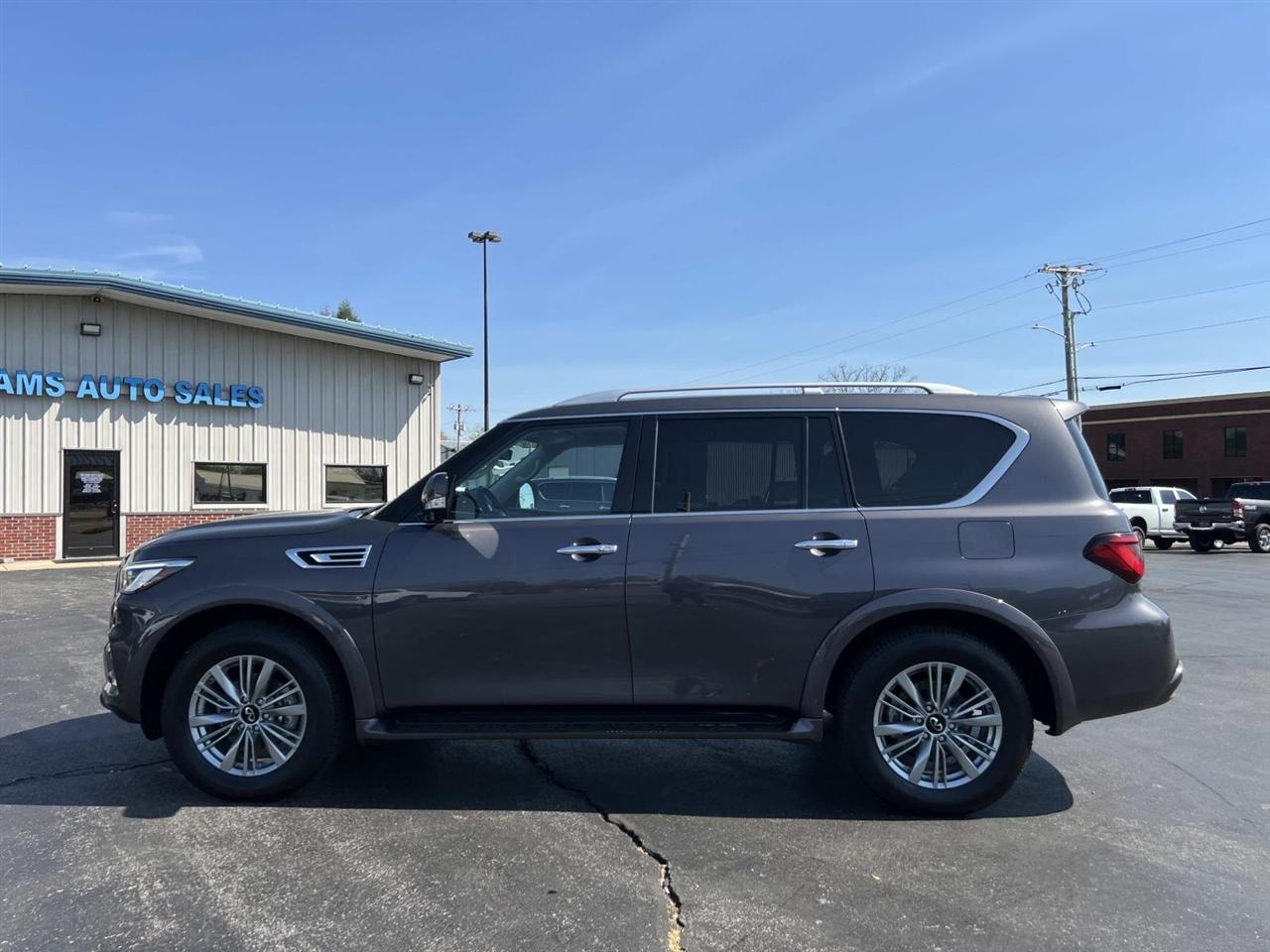 Infiniti QX80  2024