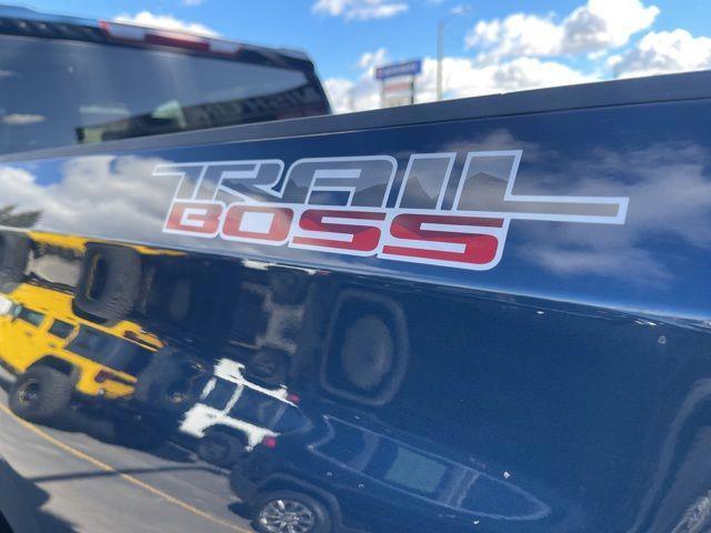 Chevrolet Silverado 1500 Custom Trail Boss Crew Cab Short Box 4WD 2020