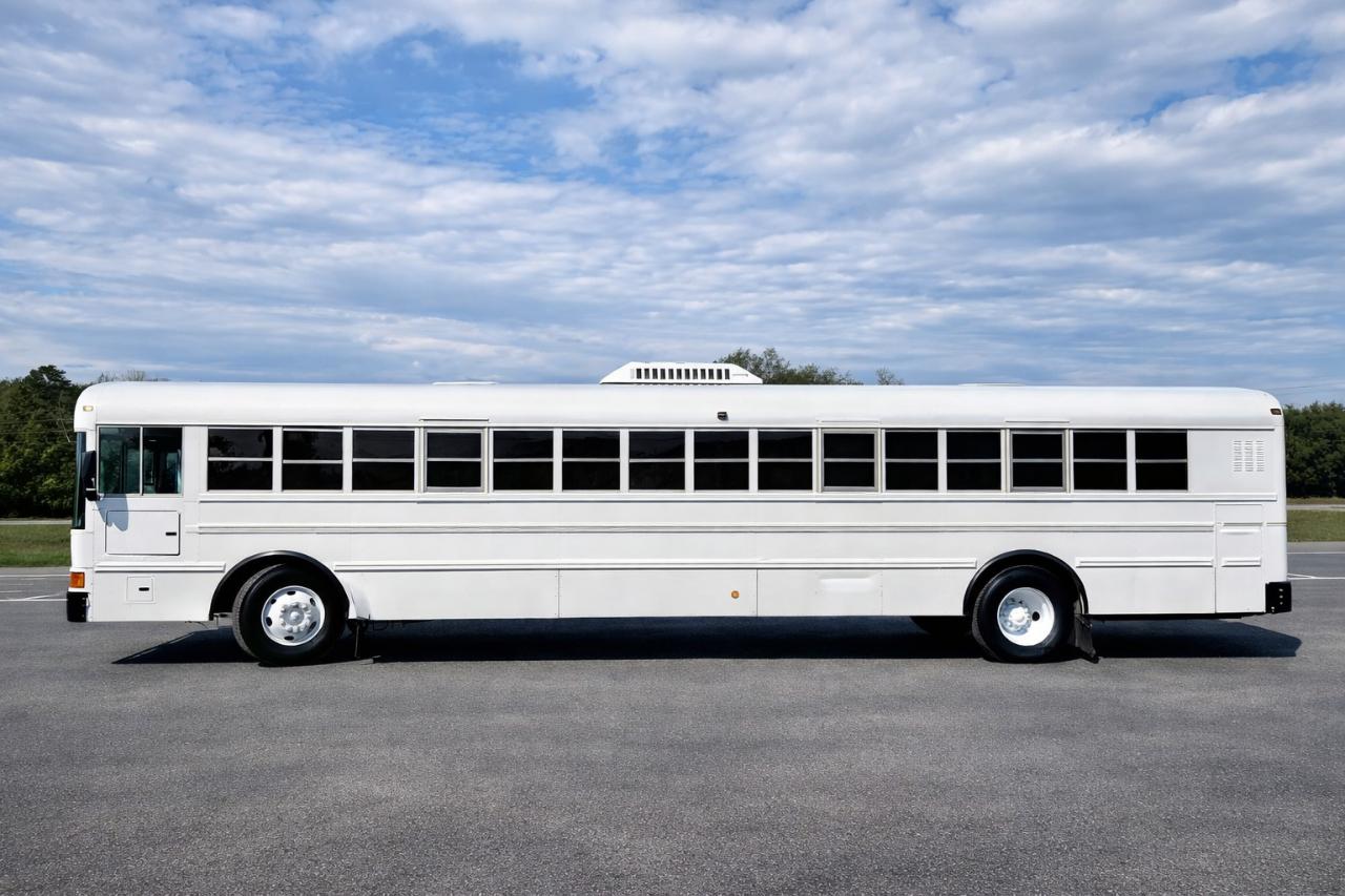 International 3000  2010